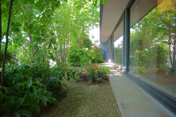 キッズコーナーからの景色、やわらかい光が差し込みます。